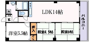 第一メゾン藤原の物件間取画像